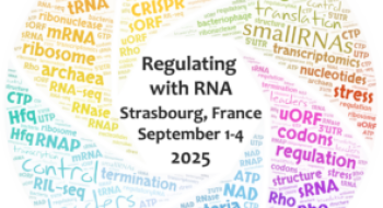 Microbes & RNA 2025