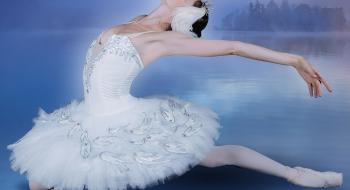 France Tournée Le Lac des Cygnes